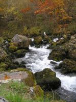Bosnien_ 1